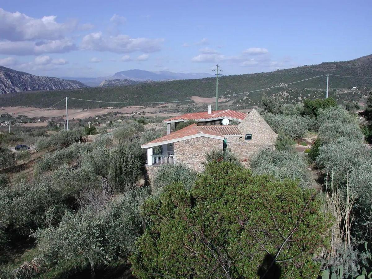 Casa In Campagna Hotel Dorgali Exterior foto