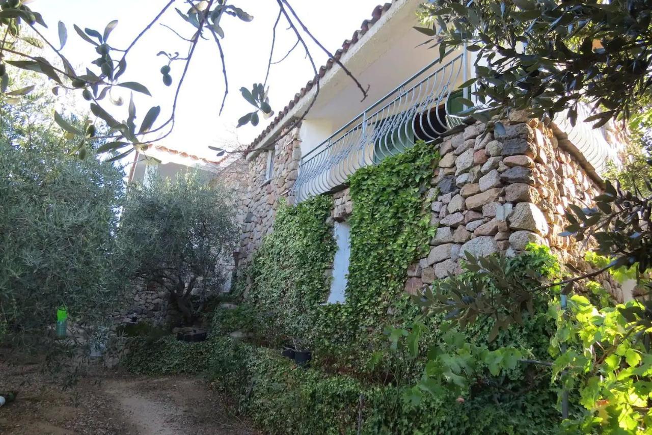 Casa In Campagna Hotel Dorgali Exterior foto