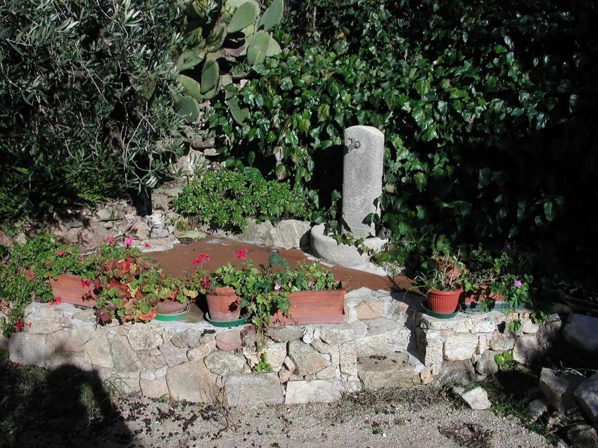 Casa In Campagna Hotel Dorgali Exterior foto